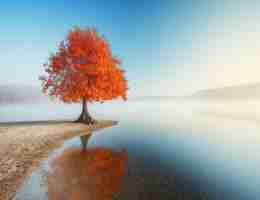 视​频‍由‍al生﻿成﻿是​什‍么﻿意‍思​呀﻿